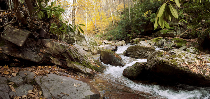 New Jersey Landscape